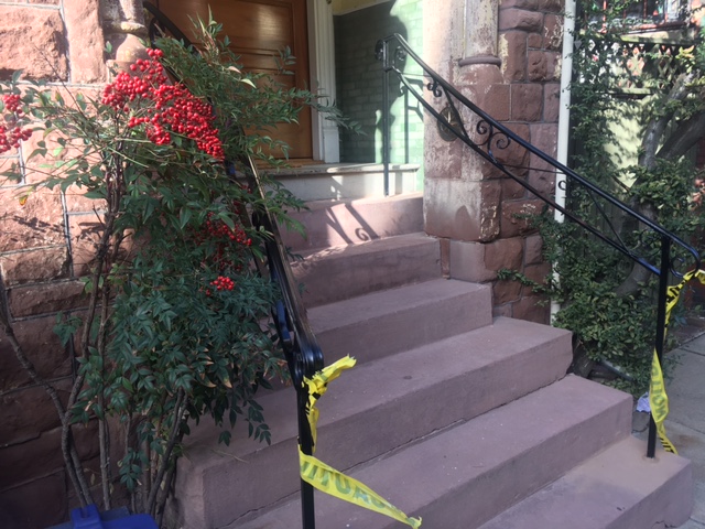 Naty Ironwork project photo 29